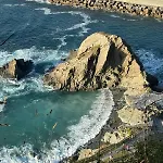 Magalsena *