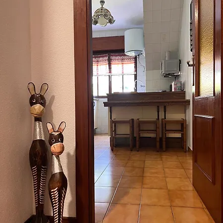 Apartamento Magalsena *