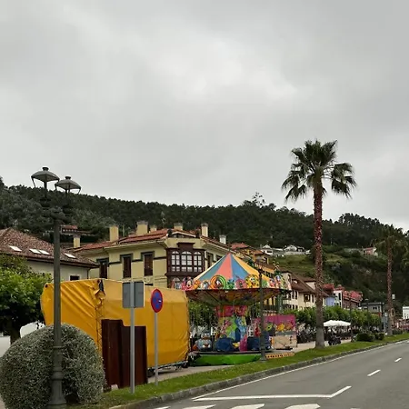 Magalsena *