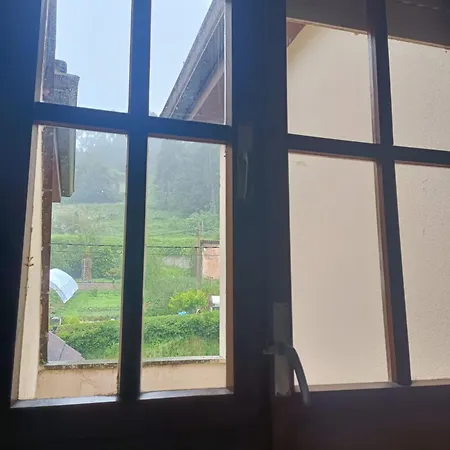 Magalsena * San Esteban de Pravia